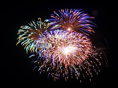 Fireworks in the Park Fireworks in the Park